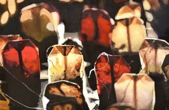 Fragility X